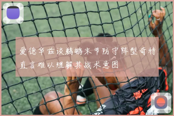 爱德华兹谈鹈鹕末节防守阵型奇特直言难以理解其战术意图