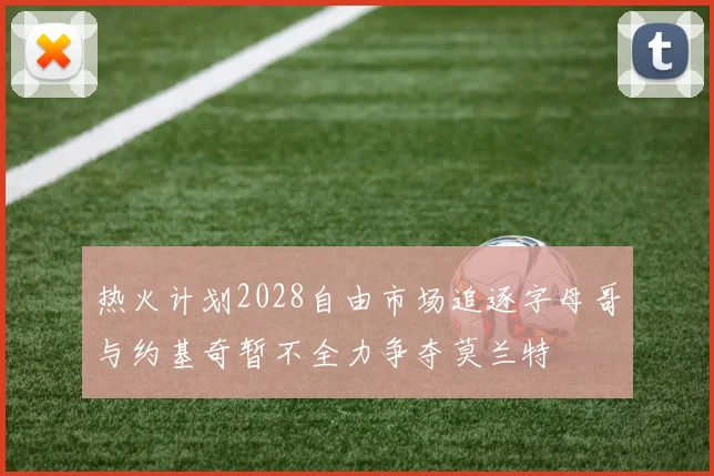 热火计划2028自由市场追逐字母哥与约基奇暂不全力争夺莫兰特